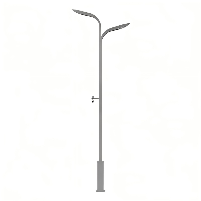 Streetlight poles with CCTV