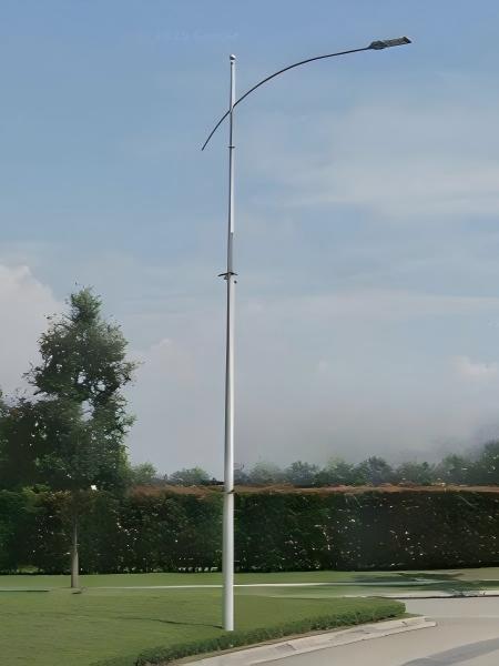 decorative lighting pole 2