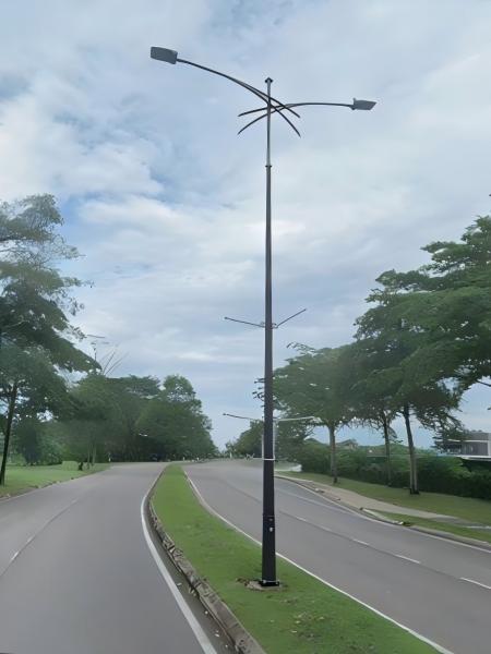 decorative lighting pole 7